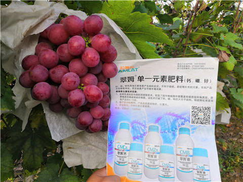 水溶肥，鈣肥，硼肥