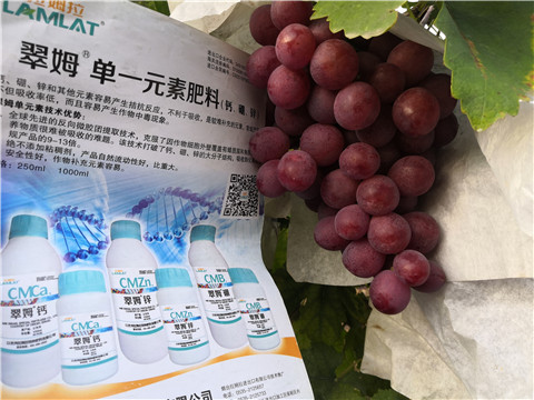 水溶肥，鈣肥，硼肥