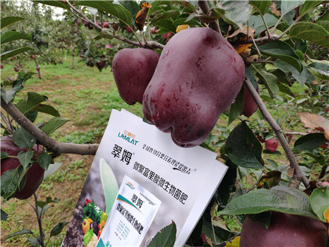 微生物菌劑，