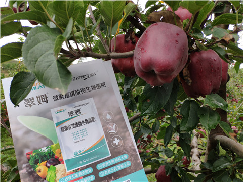 微生物菌劑，