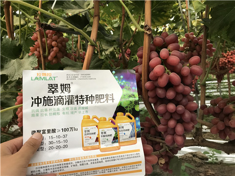 沖施肥，拉姆拉