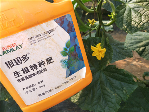 拉姆拉，根碧多，微生物菌劑