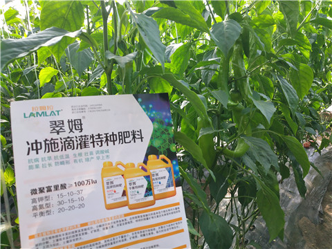 水溶肥，硼肥