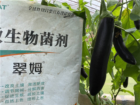 微生物菌劑，拉姆拉