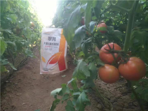大量元素水溶肥，拉姆拉 