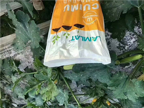 水溶肥，拉姆拉
