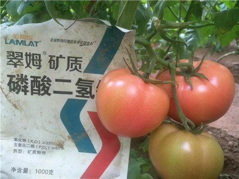水溶肥，根碧多
