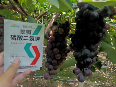 磷酸二氫鉀，葉面肥