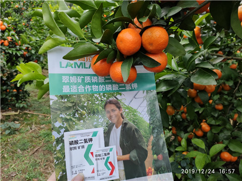 磷酸二氫鉀，鈣肥，硼肥