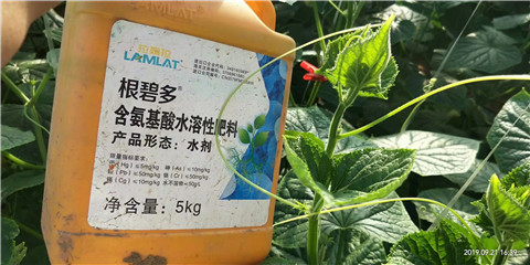 水溶肥，翠姆