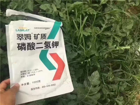磷酸二氫鉀，硼肥，沖施肥