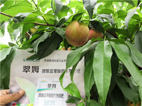 根碧多，微生物菌劑
