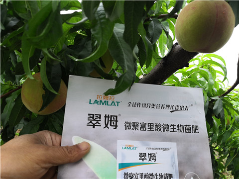 根碧多，微生物菌劑