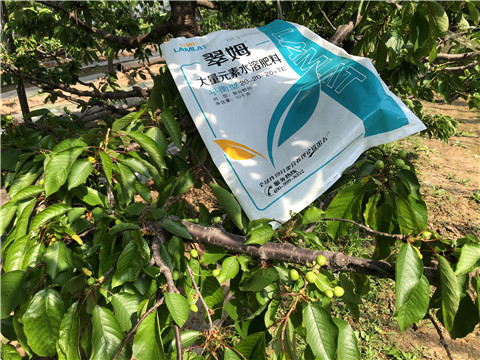大量元素水溶肥，磷酸二氫鉀，硼肥