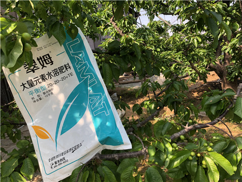 大量元素水溶肥，磷酸二氫鉀，硼肥