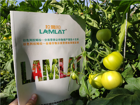 微生物菌劑，拉姆拉，伯示麥