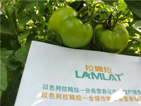 微生物菌劑，拉姆拉，伯示麥