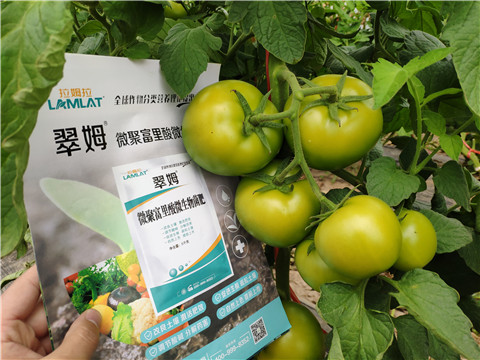 葉面肥，微生物菌劑，磷酸二氫鉀