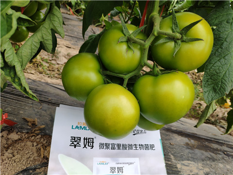 葉面肥，微生物菌劑，磷酸二氫鉀
