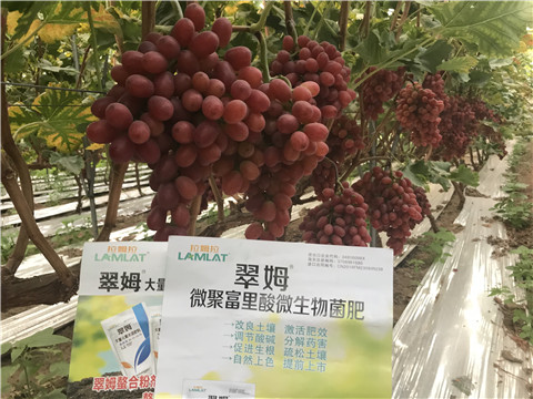 微生物菌劑，硼肥，鈣肥