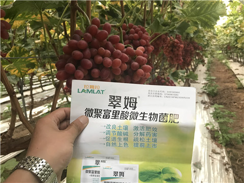 微生物菌劑，硼肥，鈣肥