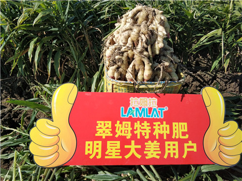 微生物菌劑，拉姆拉