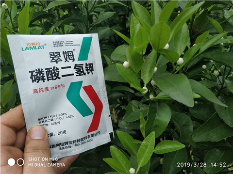 磷酸二氫鉀，硼肥，拉姆拉