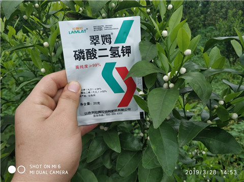 磷酸二氫鉀，硼肥，拉姆拉