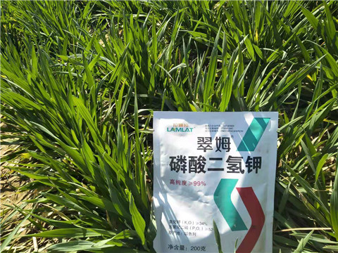 磷酸二氫鉀，葉面肥，拉姆拉