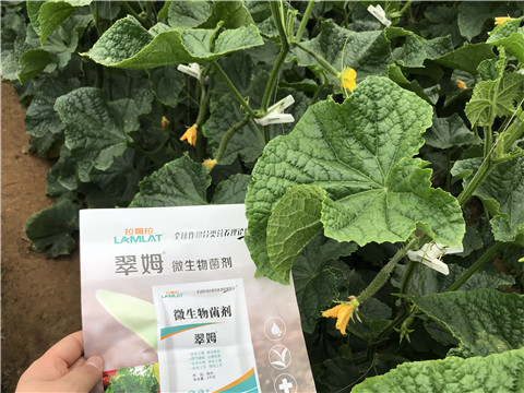 微生物菌劑，水溶肥，拉姆拉