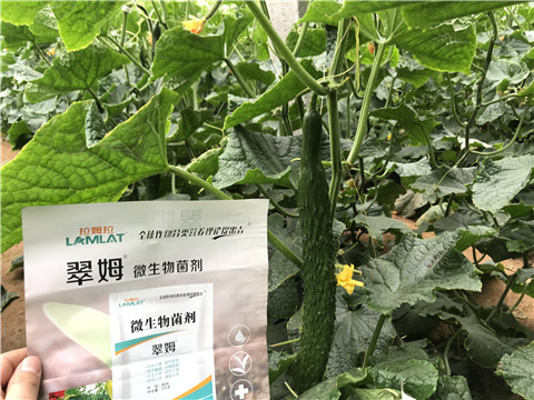微生物菌劑，水溶肥，拉姆拉