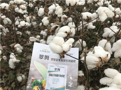 微生物菌劑，根碧多，拉姆拉