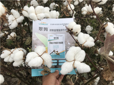 微生物菌劑，根碧多，拉姆拉