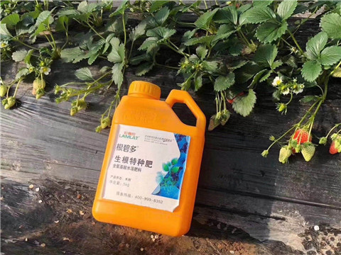 根碧多，微生物菌劑，拉姆拉