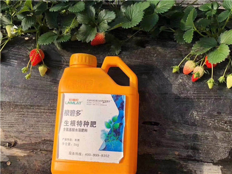 根碧多，微生物菌劑，拉姆拉