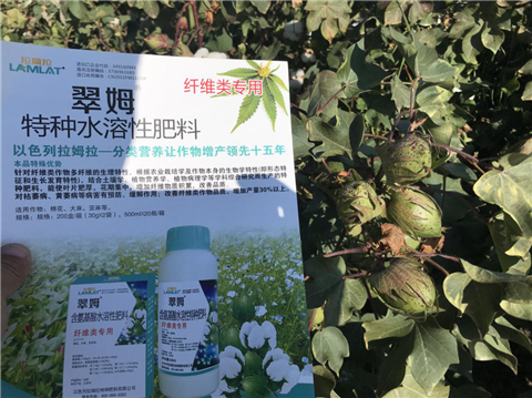 葉面肥，拉姆拉