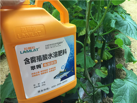 生根劑，魚(yú)蛋白水溶肥，拉姆拉