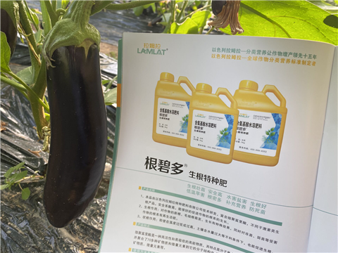 水溶肥，拉姆拉，翠姆