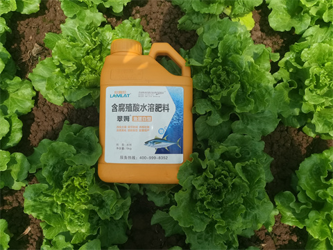 水溶肥,翠姆，蔬菜水溶肥